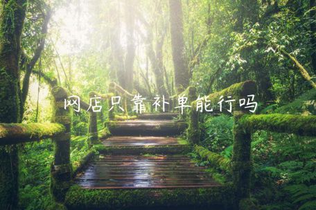 網(wǎng)店只靠補(bǔ)單能行嗎